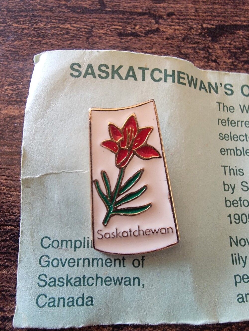 Vintage Saskatchewan Canada Souvenir Lapel Pin - Picture 2 of 4